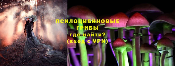 мяу мяу мука Баксан