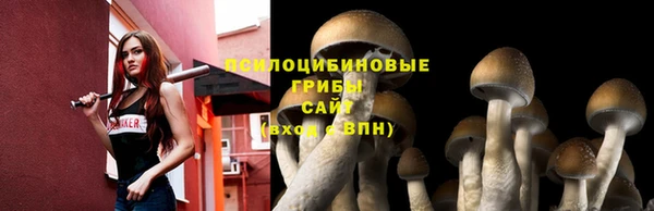 мяу мяу мука Баксан