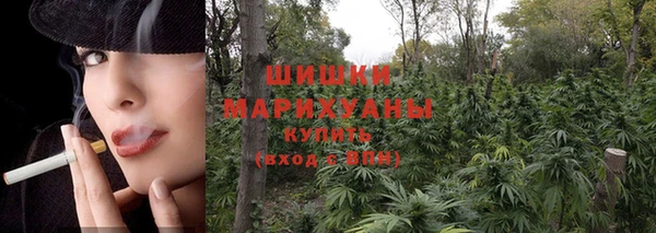 меф Новодвинск